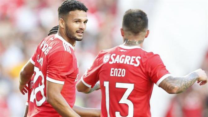 plusbenfica's tweet photo. 🚨 De acordo com o jornal Manchester Evening News, Enzo Fernández e Gonçalo Ramos são dois dos nomes que estão na lista do Manchester United para reforçar a equipa no mercado de verão. https://t.co/vC5R7T5eV8