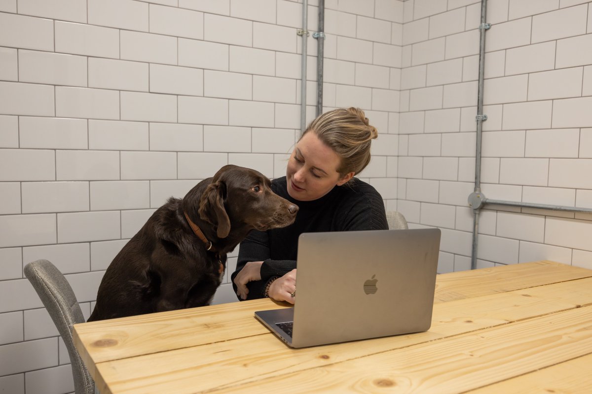 The Kiln tweet media