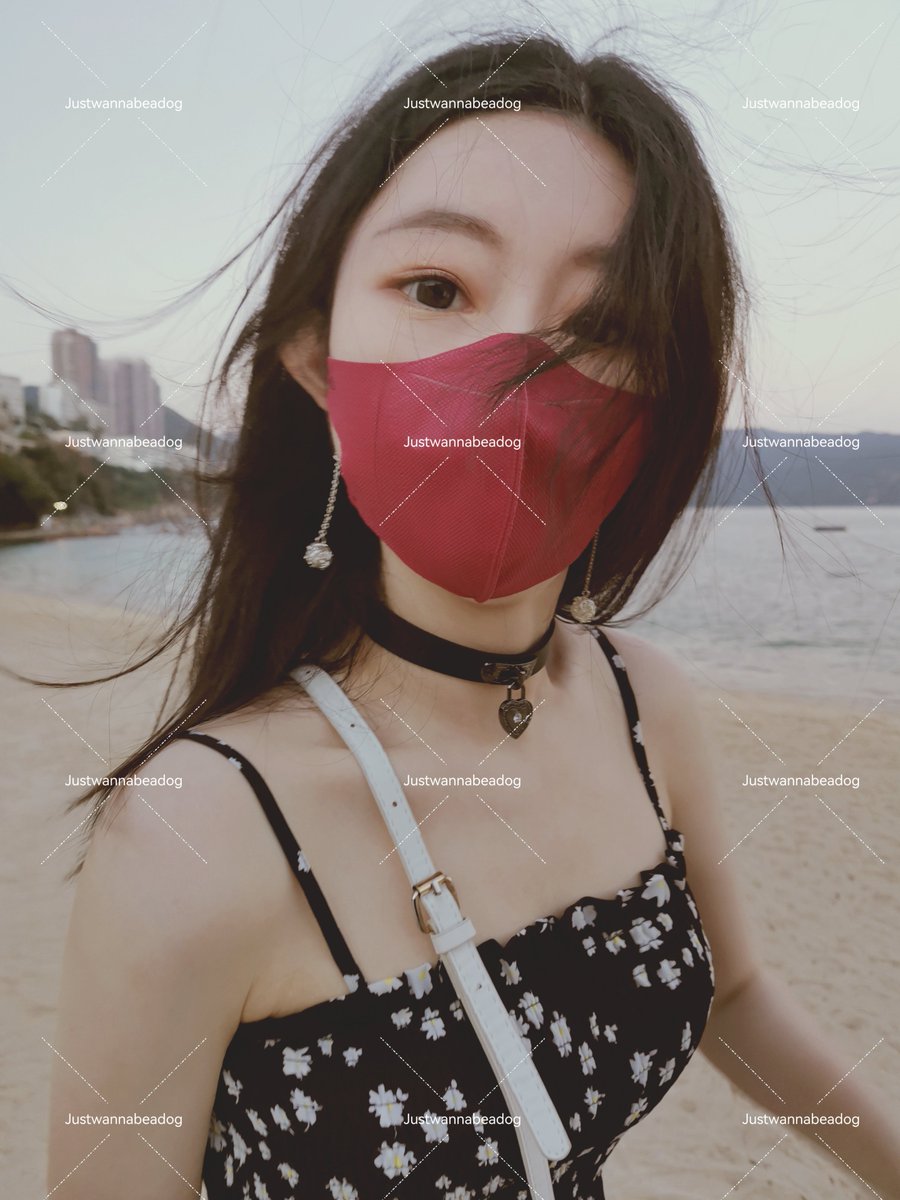主人眼中有🐶
🐶的眼中有主人
那一刻就是一萬年... https://t.co/lP47uFdjnl