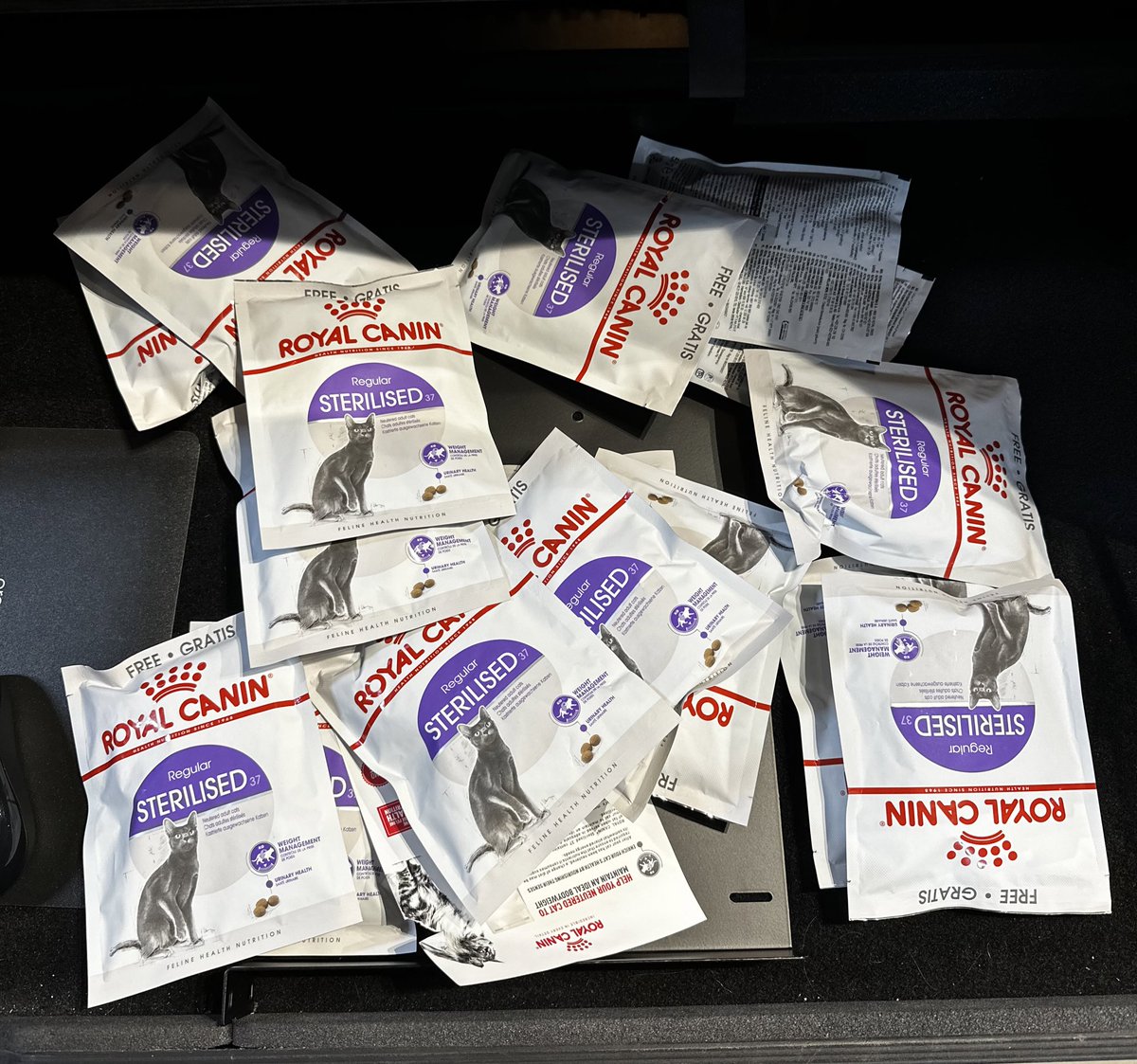 _itsjams's tweet photo. I just can’t say no to a freebie, hence why I now have 16 tester bags of cat food in my bag https://t.co/dRPH81XFOd