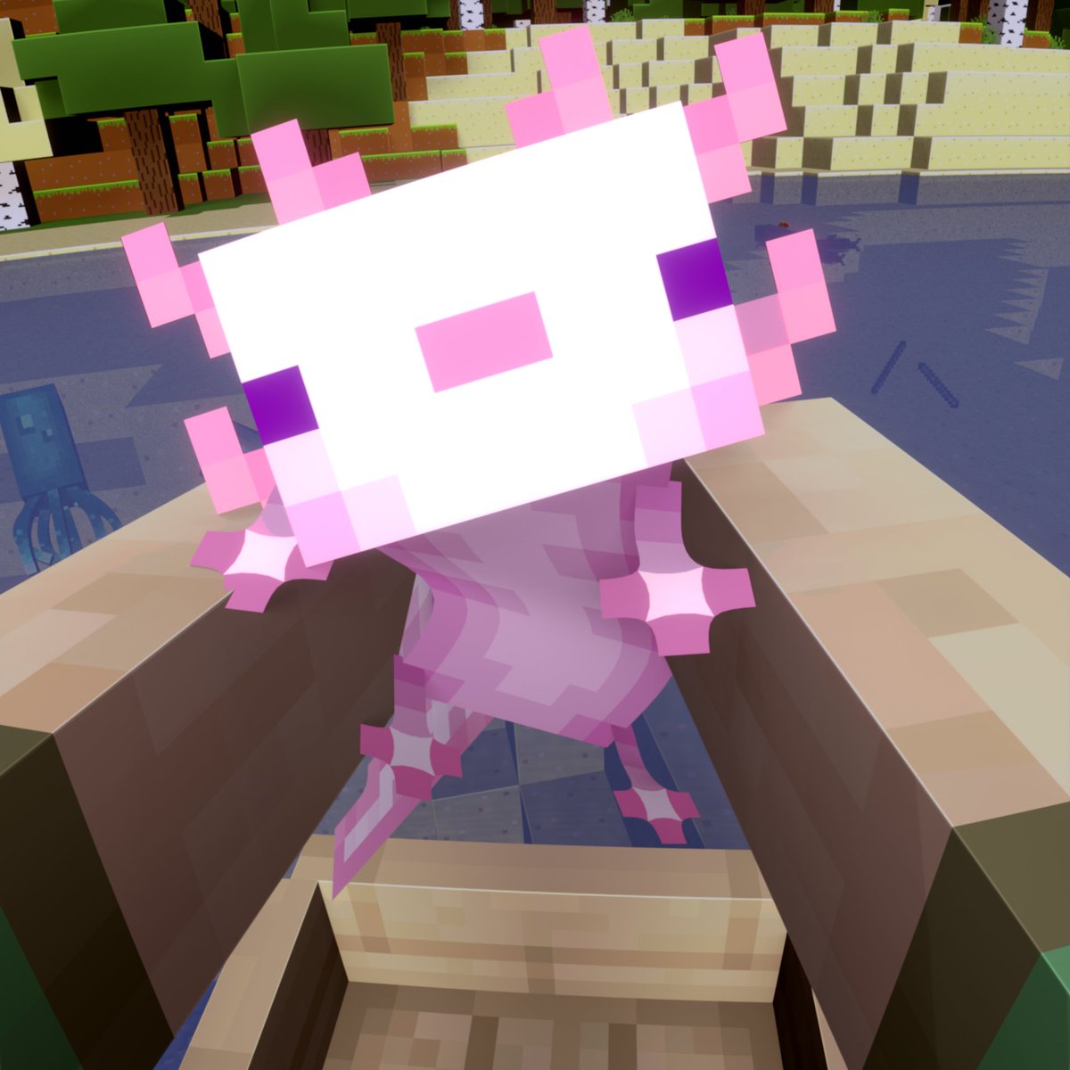 holdingmcpets's tweet photo. Holding Axolotl in Minecraft (Day 9) #Minecraft https://t.co/IpBst9uJBb