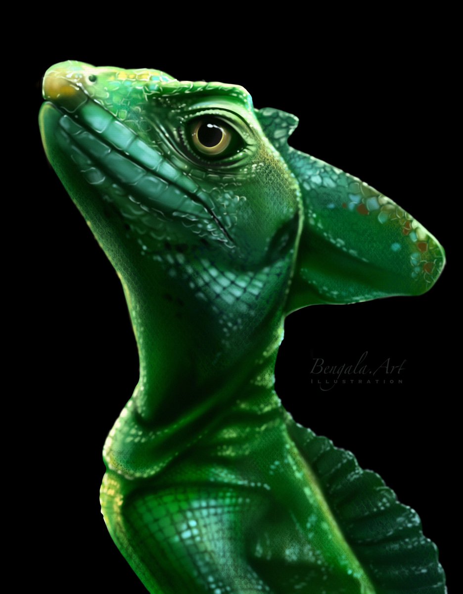 Cute reptile Basilisk🦎 I also prepared a new art for my collection! I'll show you everything soon🔥
