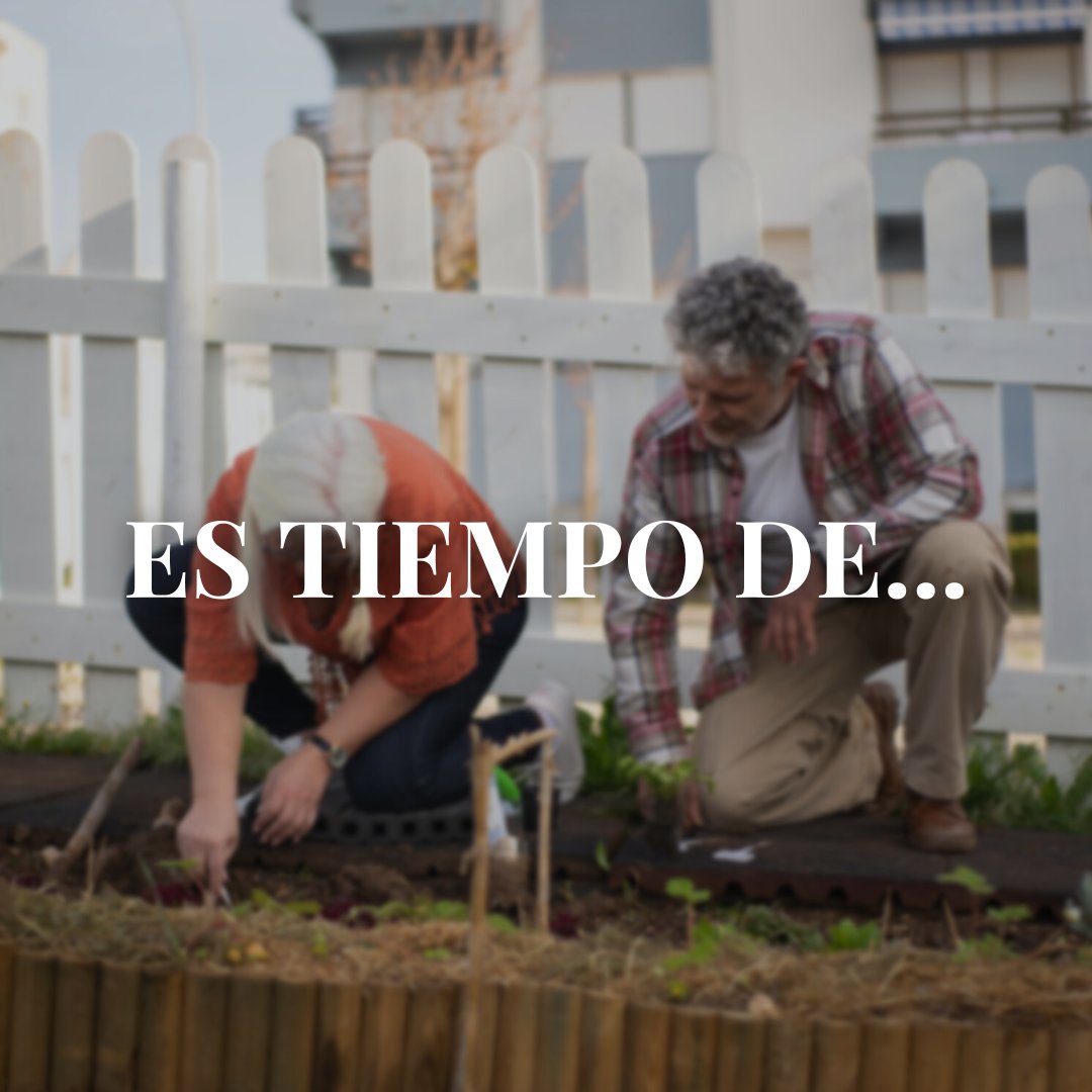 ViverosAznar's tweet photo. La actividad de las plantas el primer mes del año es mínima. Es tiempo de poda y previsión de plagas además de planear posibles modificaciones para el jardín. 
.
.
#floresaznar #viverosaznar #flores #plantas #vivero #viverozaragoza #zaragoza #zgz #plantlover #verdeesvida https://t.co/K1XKInZF5U