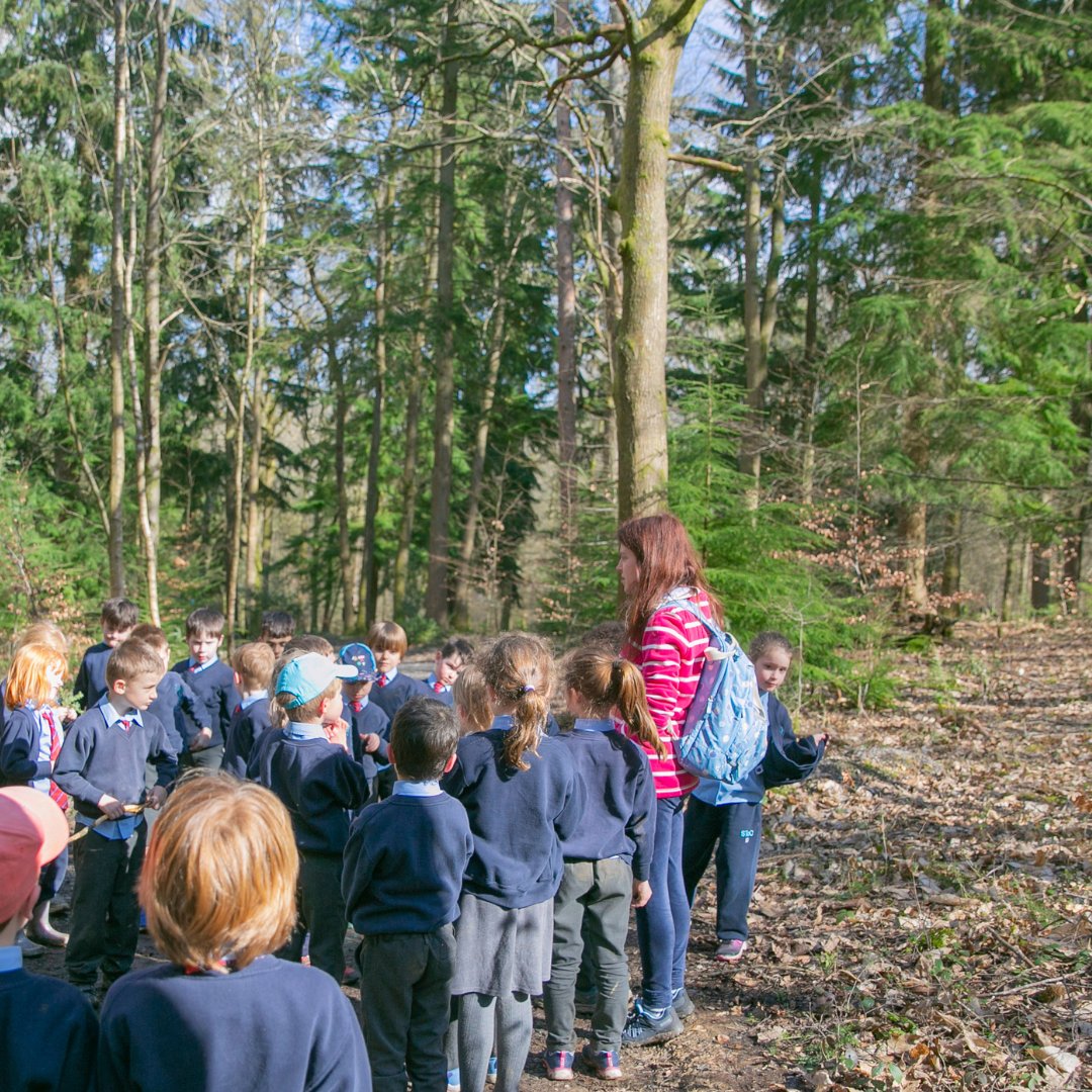 Did you know we have some amazing free resources available for educators?

Whether you're looking for something to refresh your curriculum content, or need an extra activity sheets to add to the pile, take a look today 👉 
forestryeng.land/learning