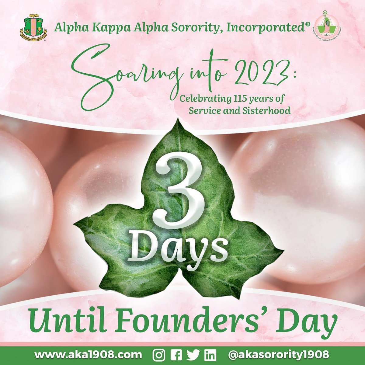 #January15 is 3 days away.. Get ready, get ready!💗💚 #SoaringInto2023 #AKA1908