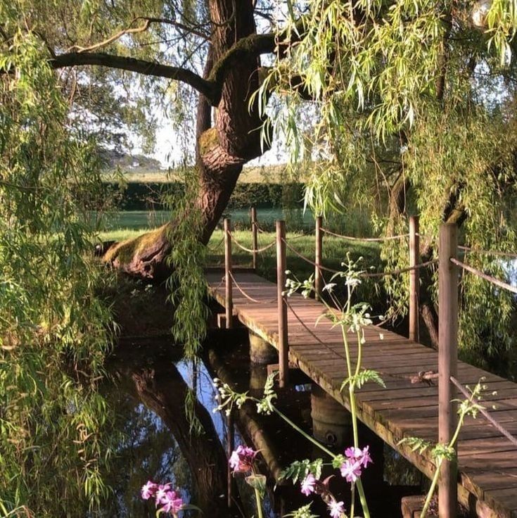 rainbow_explode's tweet image. cottagecore vibes 💌🌿☀️🌷🧺🤍🌲