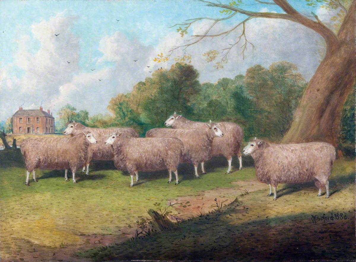 Six Lincolnshire Longwool Sheep by
Richard Whitford. More examples of #farming for #OnlineArtExchange 

#oilpainting #art #History #Collection #sheep #farms