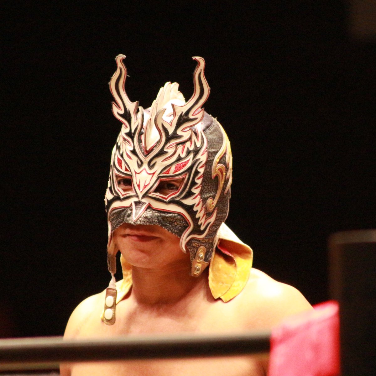 necomasamune69's tweet photo. 2023.01.11 後楽園ホール
#ドラゴンキッド
#ドラゴン・キッド
#dragongate
#HIGH_END
神🐉✨天使😇✨妖精🧚♂️✨ https://t.co/QDxM40097c