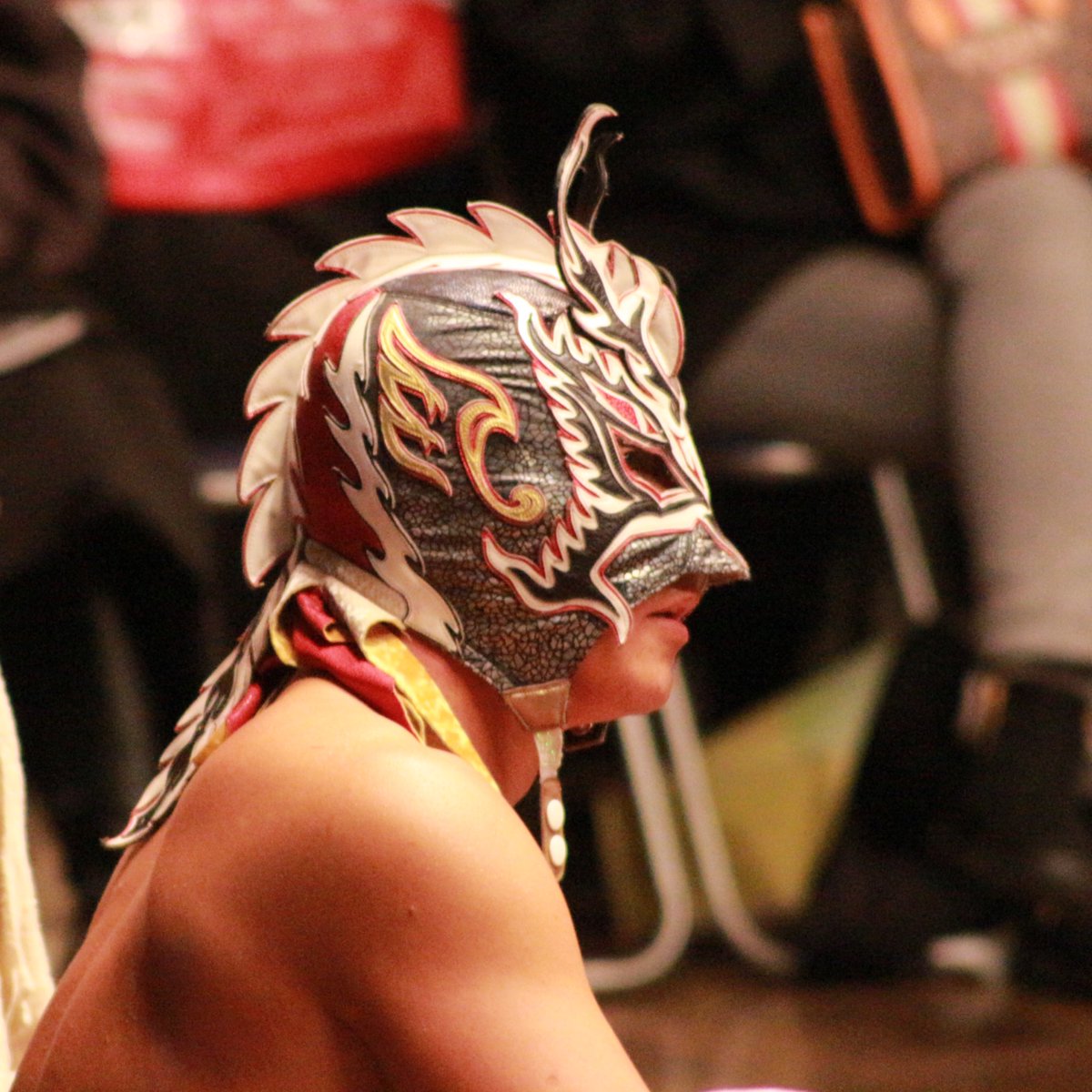 necomasamune69's tweet photo. 2023.01.11 後楽園ホール
#ドラゴンキッド
#ドラゴン・キッド
#dragongate
#HIGH_END
神🐉✨天使😇✨妖精🧚♂️✨ https://t.co/QDxM40097c