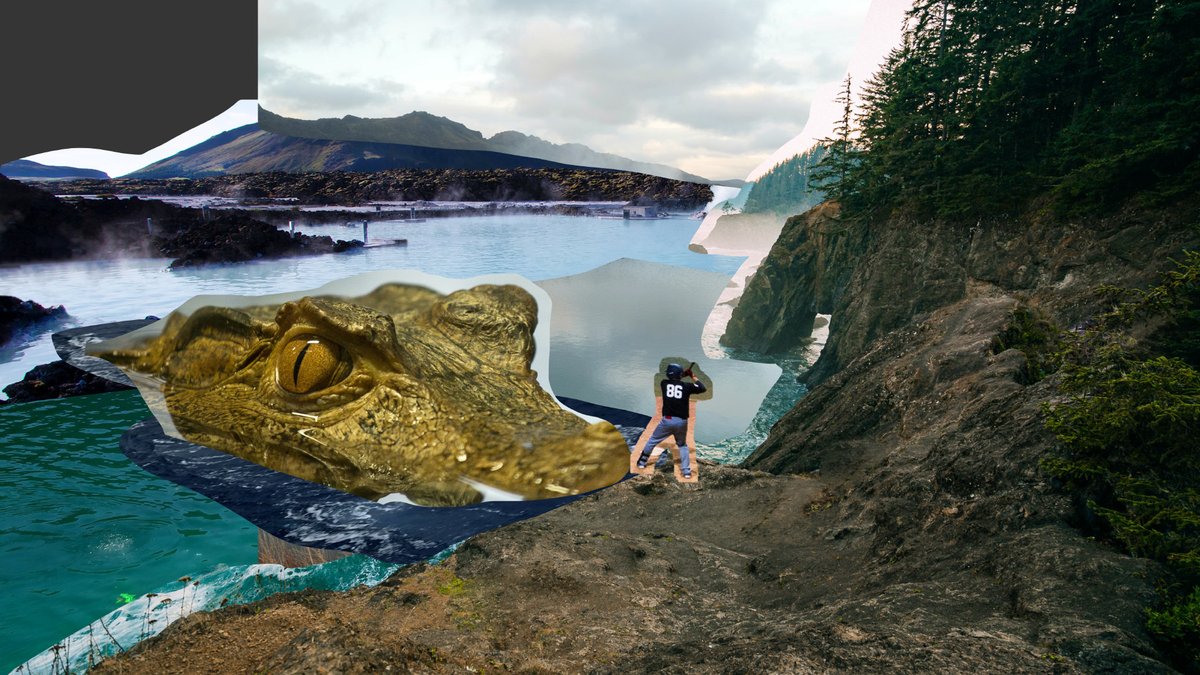 Max Asabin tweet media