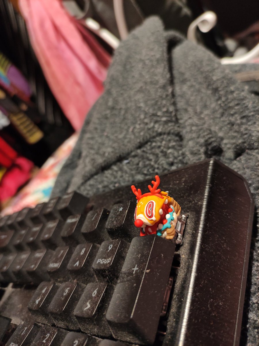 lilScruffers's tweet photo. #jellykey it came, its very cute. https://t.co/9jdfeSTgVW