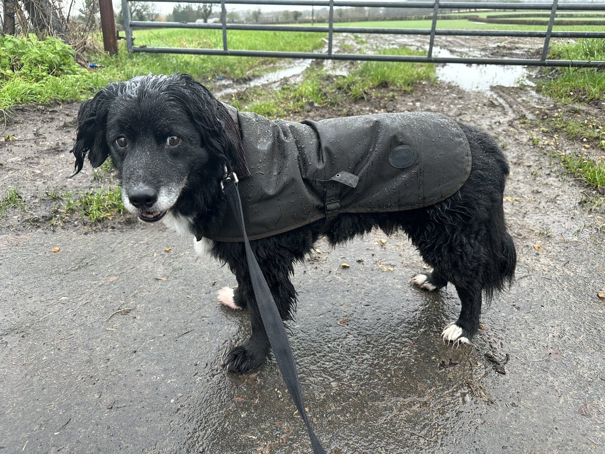 RPDJake's tweet photo. A bit wet out today ☔️ https://t.co/iFmKKAyvBA