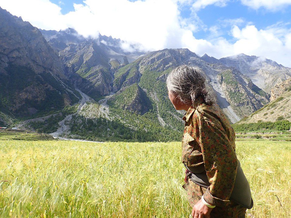 ICIMOD (@icimod) on Twitter photo Winds of change in Limi Valley🍃
Our colleague <a href="/chimis/">ChimiMeeyohSeldon</a> provides a glimpse of the changes in Halji, one of the last thriving villages of Limi Valley, #Nepal. 🇳🇵
👉 icimod.org/article/winds-…
#ProtectThePulse #MountainsMatter #ClimateChange #MovingMountains Winds of change in Limi Valley🍃
Our colleague <a href="/chimis/">ChimiMeeyohSeldon</a> provides a glimpse of the changes in Halji, one of the last thriving villages of Limi Valley, #Nepal. 🇳🇵
👉 icimod.org/article/winds-…
#ProtectThePulse #MountainsMatter #ClimateChange #MovingMountains