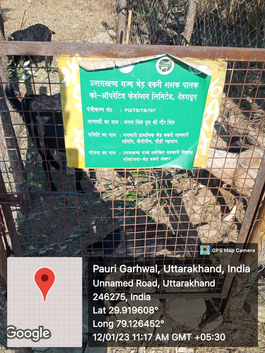 FiuPauri's tweet photo. FIU पौड़ी के मनसारी भेड़ _बकरी सहकारी समिति के ग्राम भरनौ एव औखल्यो में परियोजना के अंतर्गत पैरावेट द्वारा लाभार्थियों के बकरीयों की स्वास्थ्य जांच  एवं उपचार किया गया। #Goattreatment  #ncdc #ukcdp @Dept_of_AHD @pashudhanUK  @basava_ias @mdusgcf @aviddn @SANJAYK47559742 https://t.co/jiVhC9YDsq