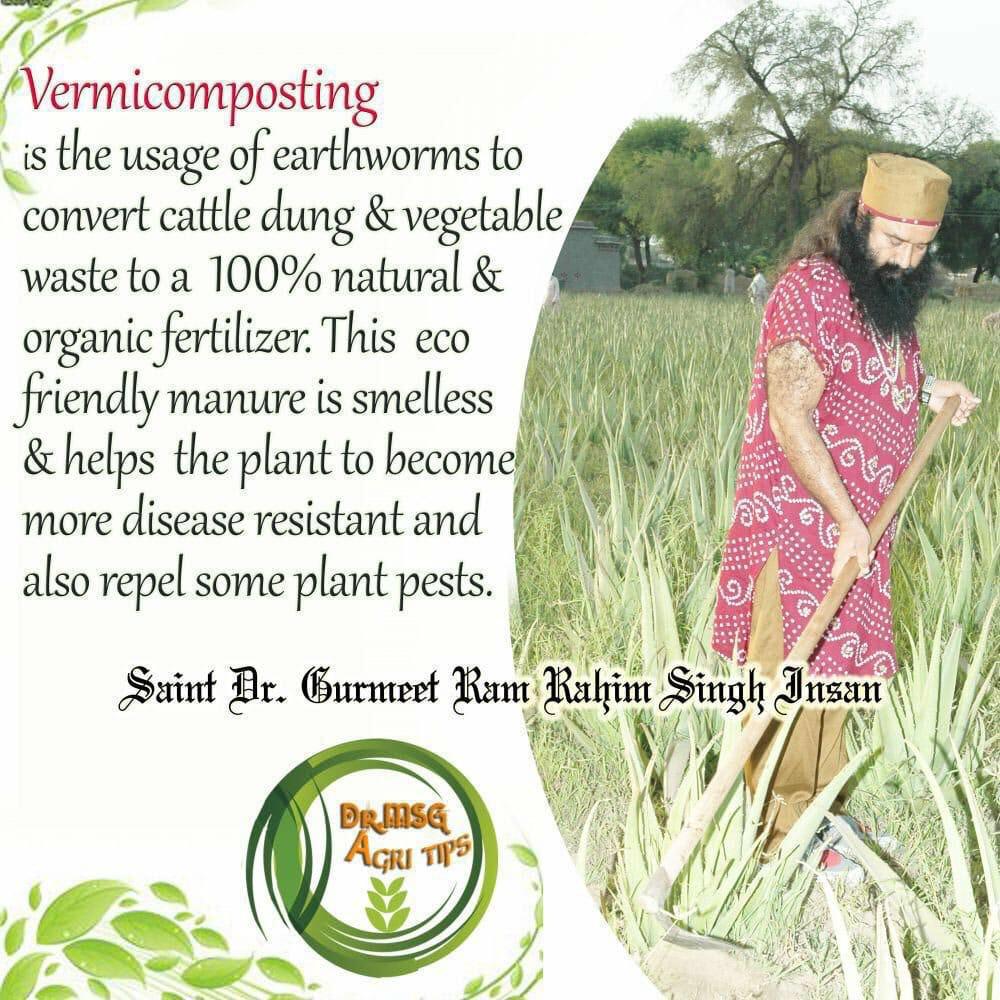 DeepakArora83's tweet image. Saint Dr Gurmeet Ram Rahim Singh Ji Insan shared many tips of organic scientific farming so that all farmers can take advantage of it.
#FarmingTips
#FarmingTipsBySaintMSG
#FarmingGuide
#BecomeASmartFarmer
#LearnAdvanceFarming
#OrganicFarming 
#SaintDrMSG
#BabaRamRahim