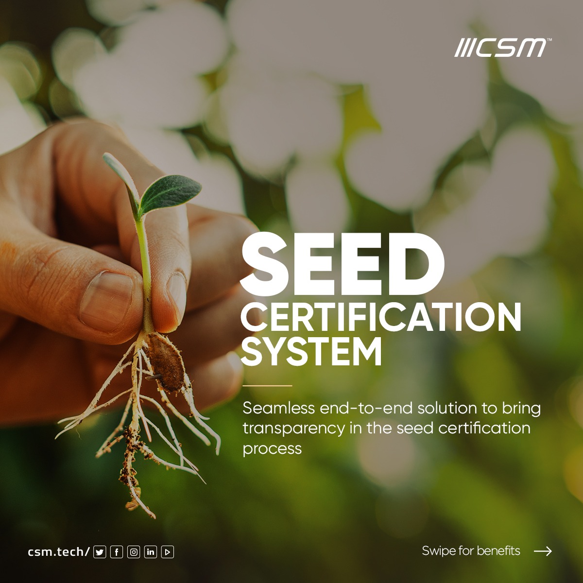 CSMTechnologies's tweet photo. Seed certification is one of the most recognized quality control systems to ensure the quality of seeds for a higher yield.
Know more about the role tech plays in bringing transparency to the process here: https://t.co/kZ5CW3fsGz
#CSMPlatforms #SeedCertification #Agritech https://t.co/2MTOo9WdDP
