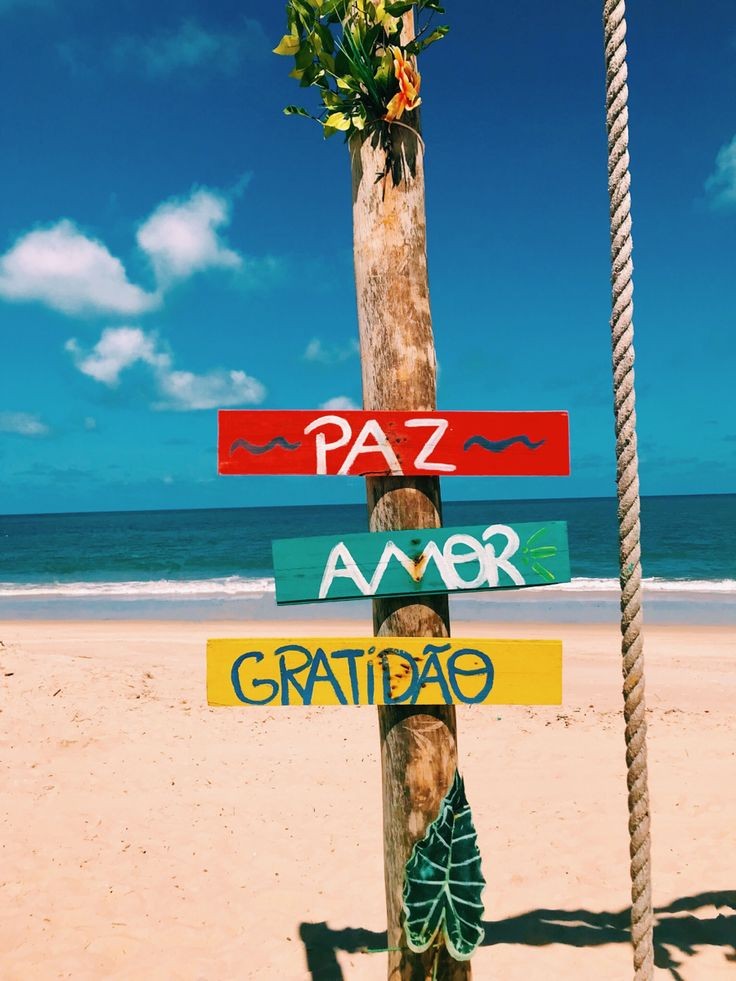 caiomaslev's tweet photo. ⠀
⠀
   🏖️   ◗  𝘢𝘭𝘸𝘢𝘺𝘴 good to have company in your
                    
                    ⓖ ⓞ ⓞ ⓓ  —  ⓥ ⓘ ⓑ ⓔ         
⠀
⠀ https://t.co/I76RzrfrOC