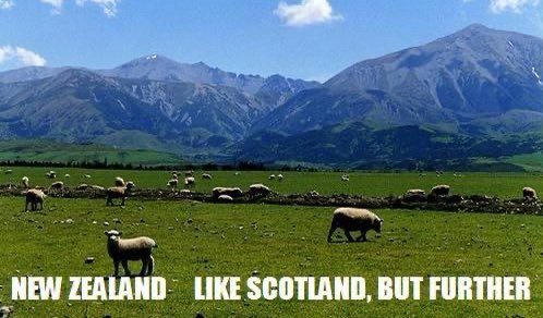 OCConchords's tweet image. 