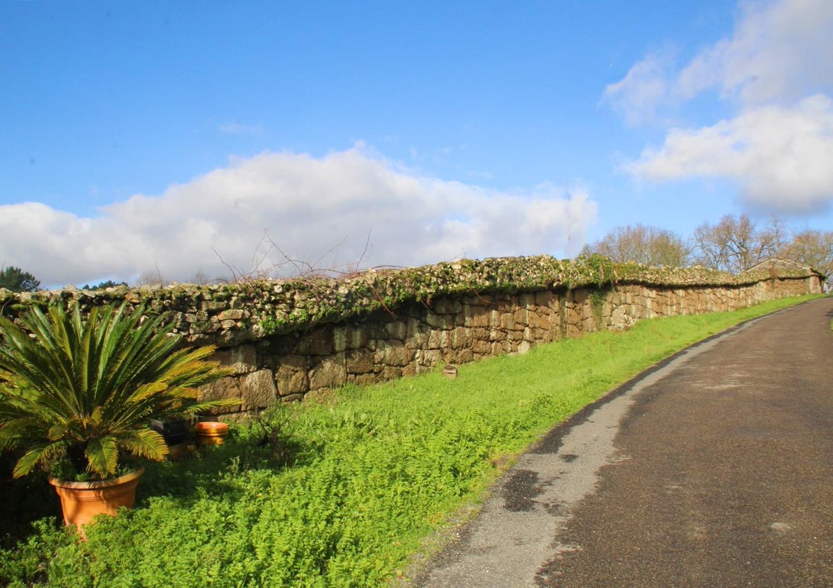 MOLDES
Unha parroquia de Boborás
Javier Torres, asociado
3/5 

#Moldes Seguimos fío👇