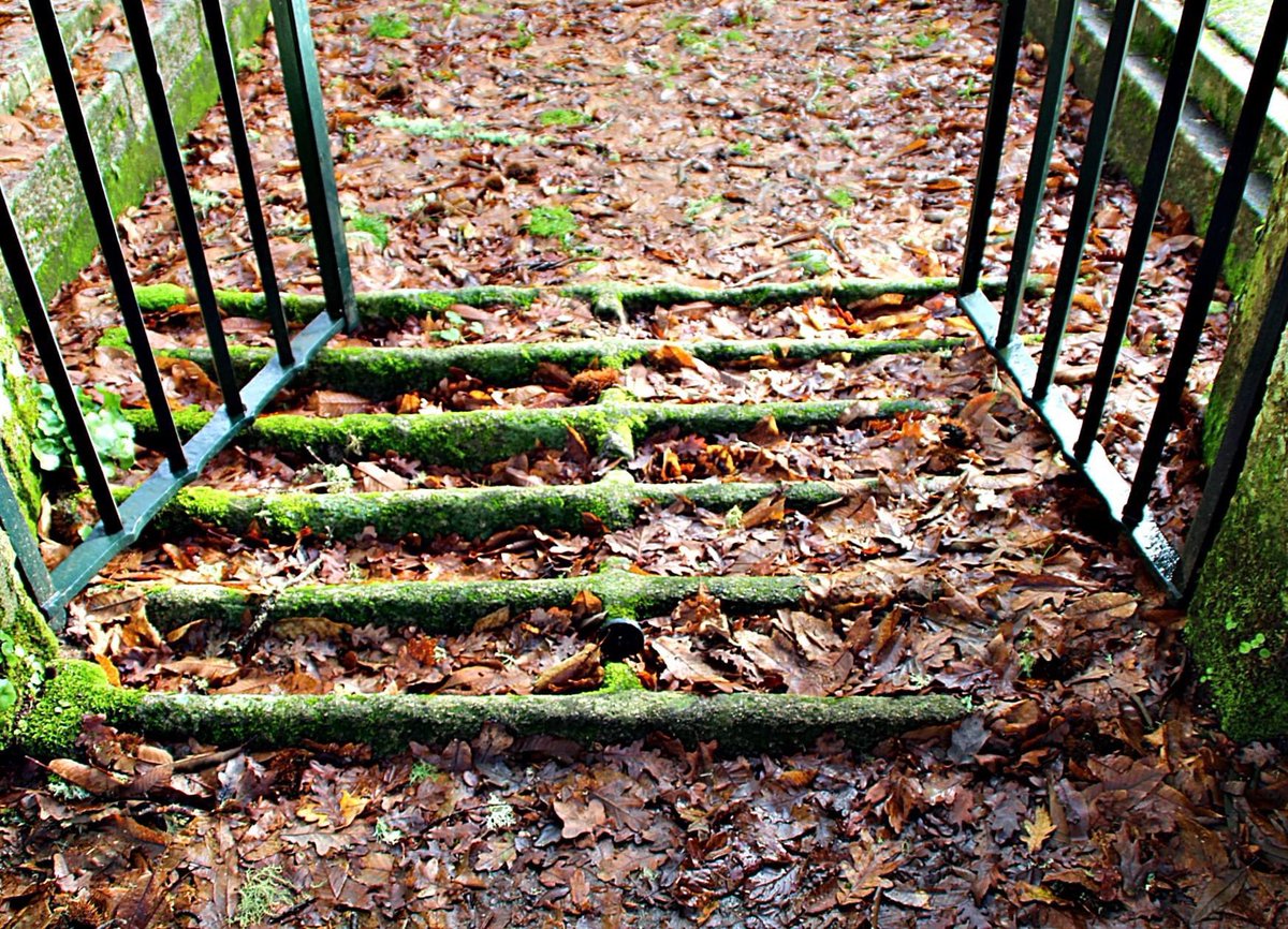 MOLDES
Unha parroquia de Boborás
Javier Torres, asociado
4/5 

#MoldesBoborás 
#Moldes Seguimos fío👇