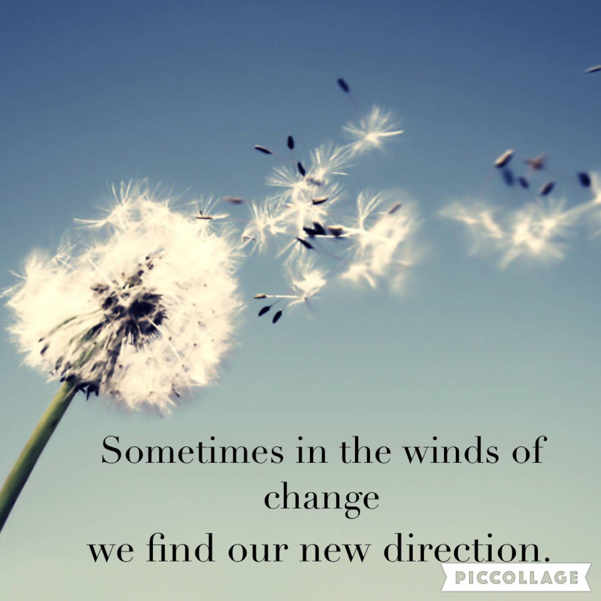 "Leadership Moment"
CHANGE isn't always easy to accept, but the faster you embrace the CHANGE, the faster you'll adapt &amp; overcome it. The winds of CHANGE will eventually find us all, so set your sails, don't be afraid of what's next, &amp; know, you got this! 
#LeadershipMoment