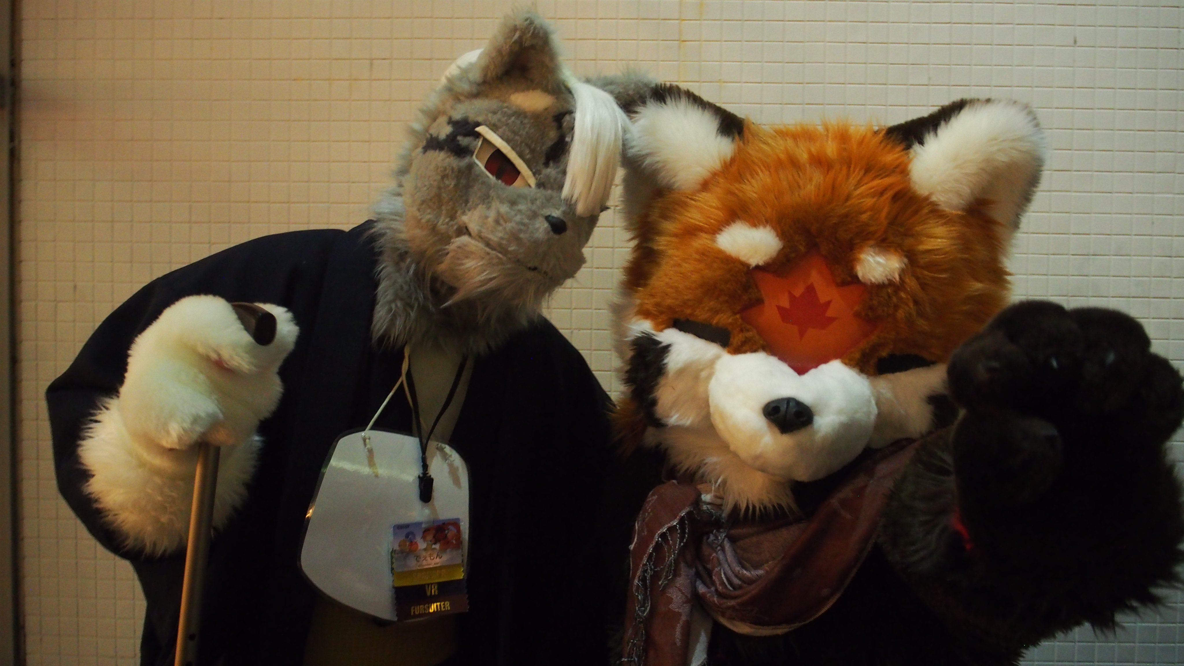 かめかめSHOP  かめかめ (@kamekame_kemo) / X