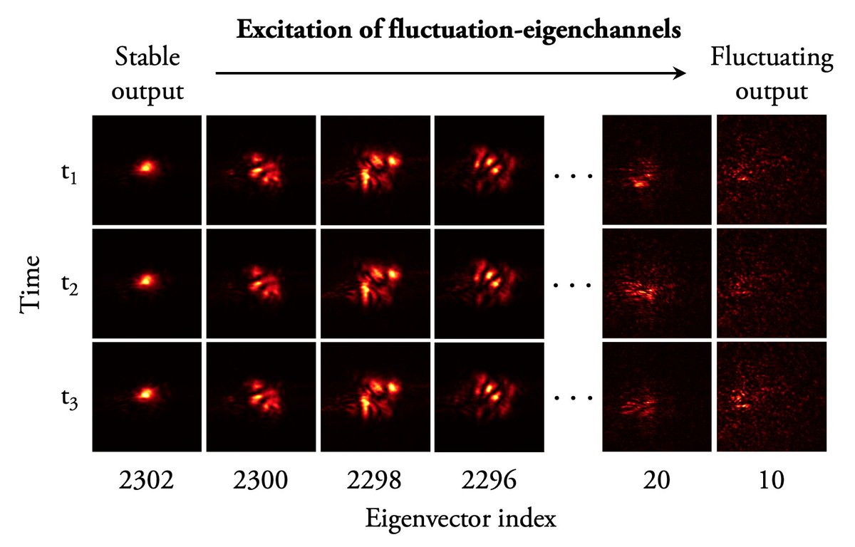 New preprint! <a href="/UoE_Physics/">University of Exeter Physics and Astronomy</a>: Threading light through dynamic complex media arxiv.org/abs/2301.04461. We show how to sniff out the most stable paths for light to take through unknown moving environments! Special thanks to Chai Mididoddi for a monumental effort in the lab!