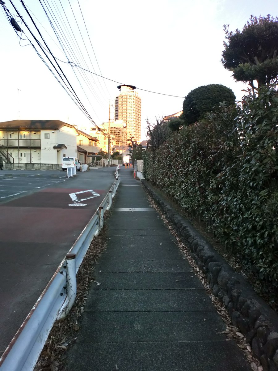 InselMit2Kinder's tweet photo. Tessa hat mich ein bisschen durch die Gegend geführt, wir haben an derselben Uni studiert, zur selben Zeit, sind uns aber erst jetzt in Tokyo bewusst begegnet. Tessa Seite bietet quasi alles, was man wissen muss, wenn man in Japan Urlaub machen möchte. https://t.co/rAaatPHknR