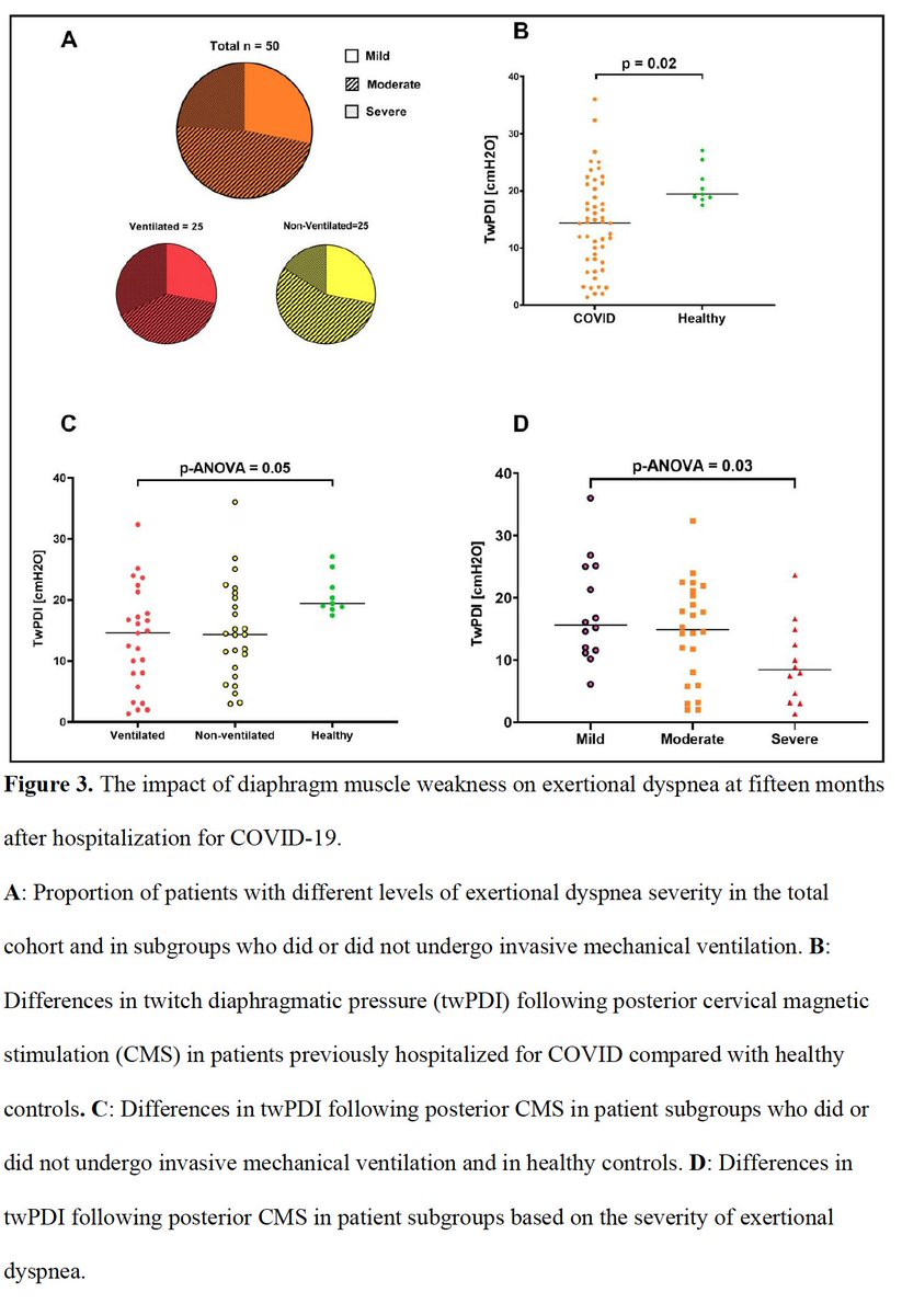 Sehr schöne Arbeit zum Verständnis von Luftnot nach #covid. Einige PatientInnen zeigen eine Zwerchfellschwäche (weniger Kraft) als eine der Ursachen von #LongCovid Symptomen. Sehr gut objektiviert hier.
atsjournals.org/doi/abs/10.116…