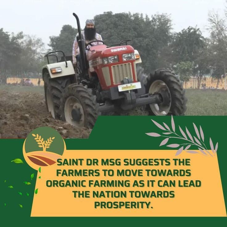 HitendraInsha's tweet image. रसायन व कीटनाशकों से की जाने वाली खेती से नई बीमारियां जन्म लेती है व पर्यावरण दूषित होता है Saint Dr Gurmeet Ram Rahim Singh Ji Insan ने  किसानों को स्वस्थ उपज प्राप्त करने के लिए वैज्ञानिक और ऑर्गेनिक खेती के नये तरीके बताए #FarmingTips
 #FarmingTipsBySaintMSG
 #FarmingGuide
