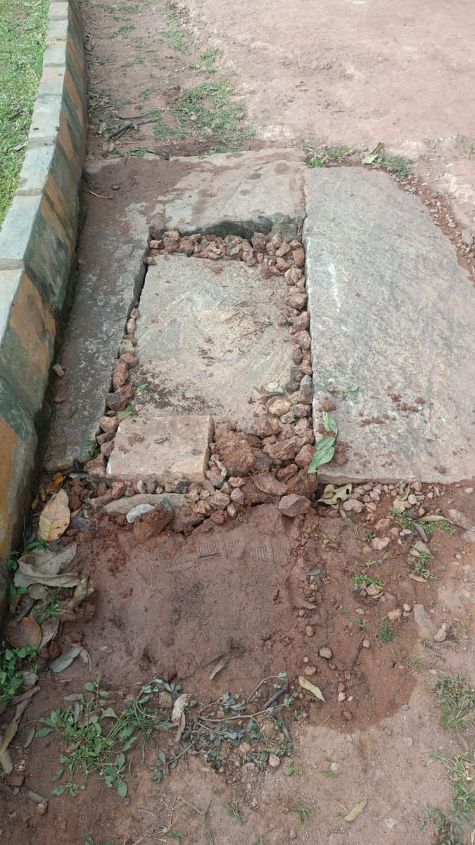 HorticultureGoK's tweet photo. @hiteshmomaya @BSBommai @CMofKarnataka @MunirathnaMLA Your concerns our actions https://t.co/VUNm2DZ4d8