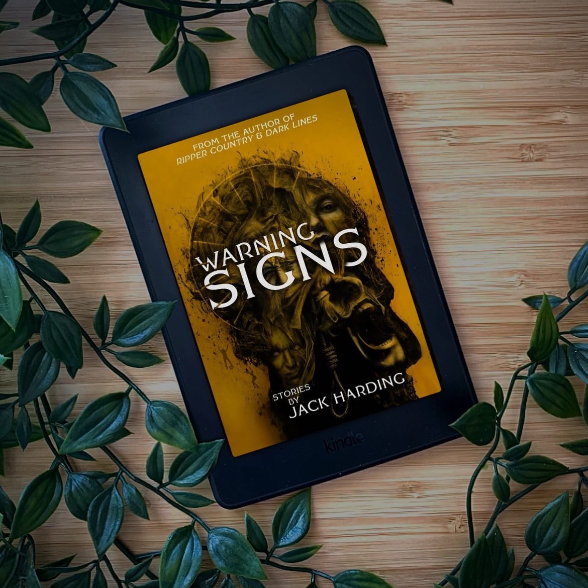 JHardingAuthor's tweet image. Pre-order now on Kindle!

books2read.com/u/3yWD6Z

#ebooks #kindlescribe #newbooks