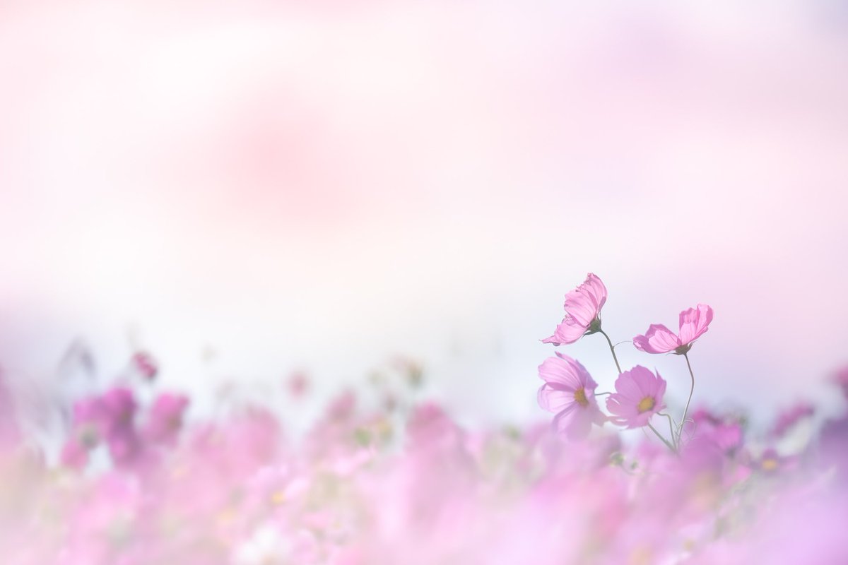 #サムネ表示も変わったことだし自慢の横長写真を投稿しよう

いつも横長写真のほうが多いけどね