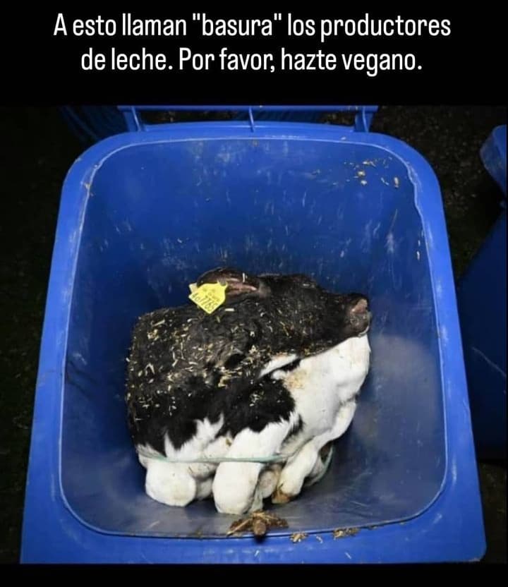 MartinezNevado's tweet photo. Con lo fácil que es disfrutar de manera #compasiva... https://t.co/OdfM62hCSK