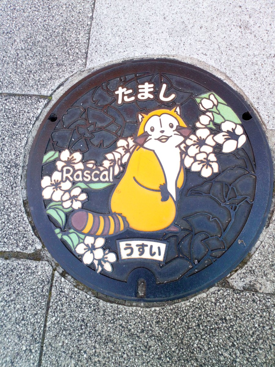 InselMit2Kinder's tweet photo. In Tokyo kommen auch die Drainspotter wieder zu ihrem Vergnügen. Dank fehlendem Schnee ist der Boden gut sichtbar und die Deckel toll gestaltet. https://t.co/tvrMH9wmtu