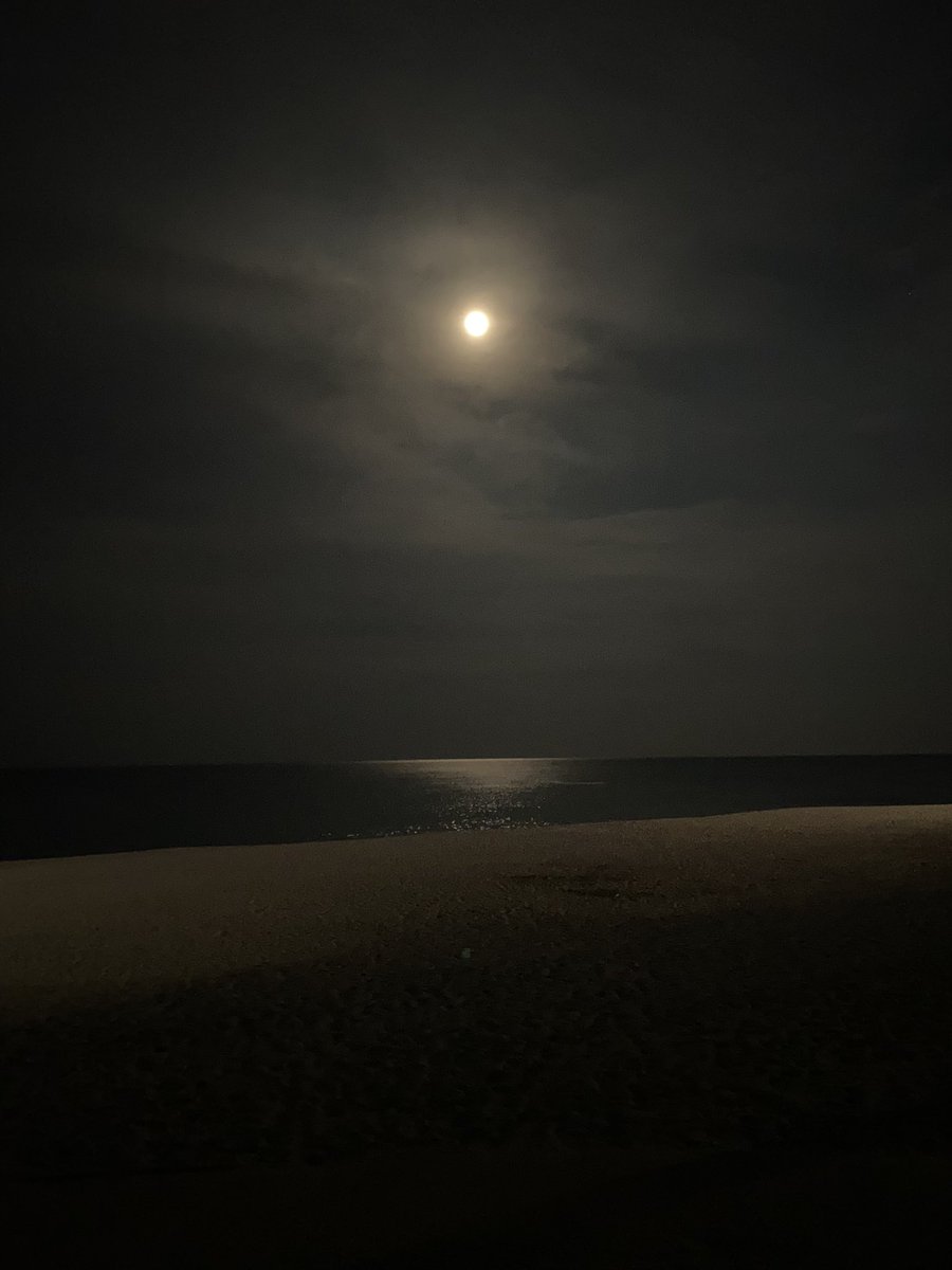 강릉 1박 2일 여행 타래