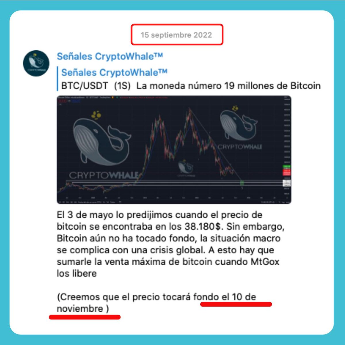 CryptoWhale™ tweet media