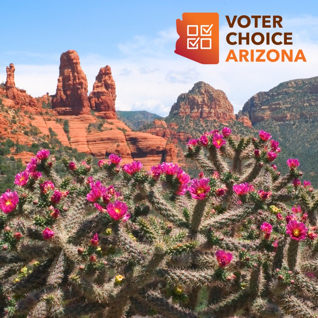 VoterChoiceAZ's tweet photo. You are invited to Voter Choice Arizona's monthly happy hour/Statewide meeting Wednesday 1/18/23 at Fifty Shades of Rose in Scottsdale. For details and to RSVP go to https://t.co/nOJPWJK0gf If you can't attend in person you can attend via zoom https://t.co/5765iZYMMT #RCV2AZ https://t.co/laXdfcYV3A