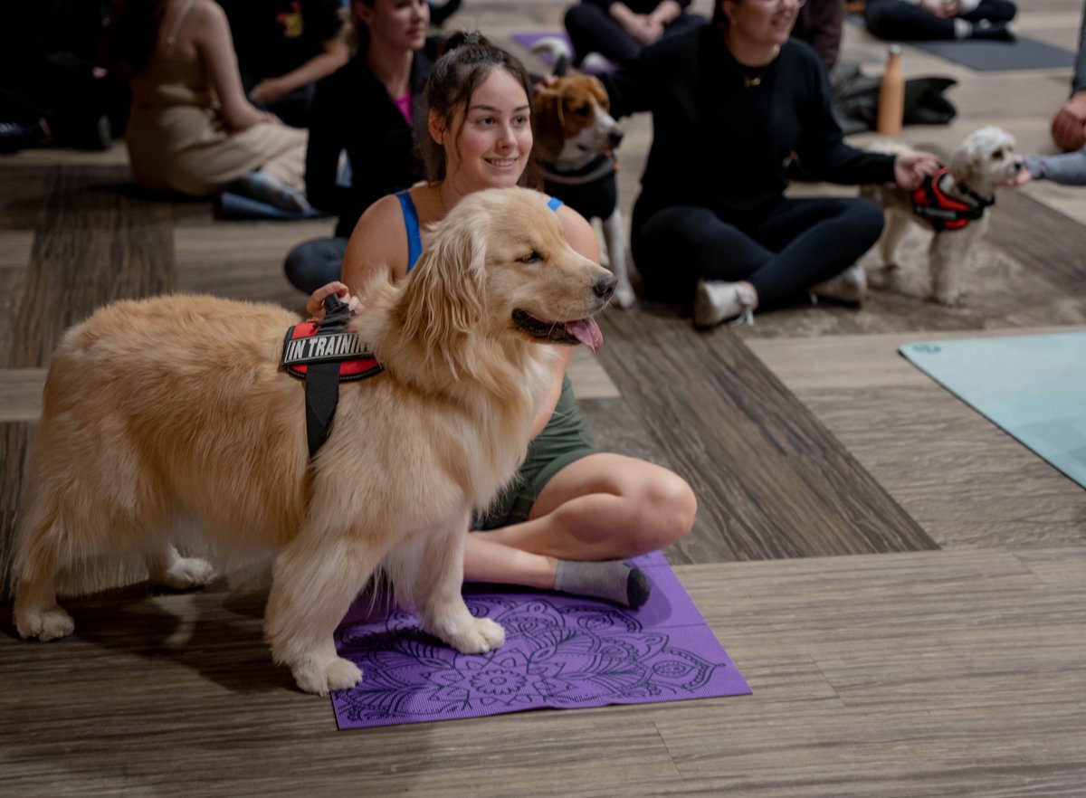 UWSA (@uwsa4u) on Twitter photo WHAT A GREAT DAY!πΆπ§π½ββοΈβοΈ DAY TWO OF FROSTWEEK IS COMPLETE!! Thank you again for all of you who came to do some yoga with our amazing instructor Coco from @lancerec & to enjoy company with our furry friends from Four Wheels Four Paws! πΎπ
Head to our Facebook to see more photos WHAT A GREAT DAY!πΆπ§π½ββοΈβοΈ DAY TWO OF FROSTWEEK IS COMPLETE!! Thank you again for all of you who came to do some yoga with our amazing instructor Coco from @lancerec & to enjoy company with our furry friends from Four Wheels Four Paws! πΎπ
Head to our Facebook to see more photos