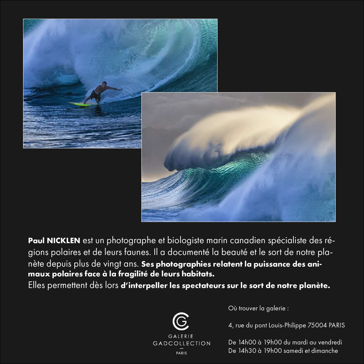 GADCOLLECTION's tweet photo. @PaulNicklen, Pipeline Poetry, 2013. 
Come discover our collection of photographs. 
#sea #photography #galeriegadcollection #seaphotography #surf #surfphotography #paulnicklen #wild #sun #blue https://t.co/Wti7Za0mPF