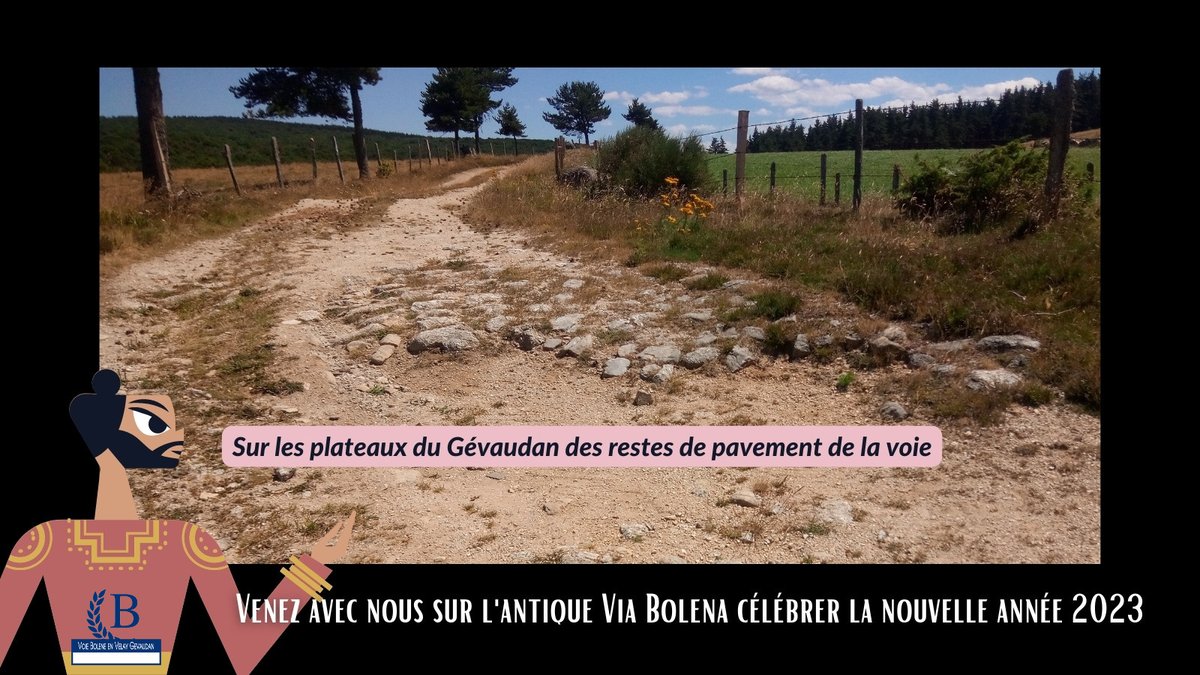 Via_Bolena's tweet photo. https://t.co/ykMs5YNFrl