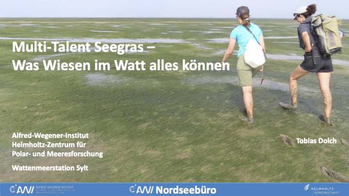 Die Winterpause ist vorbei: Heute Abend startet eine neue Folge #WissenschaftfürsWohnzimmer mit Tobias Dolch @AWI_Media, der uns die biologisch wichtigen Seegraswiesen im Wattenmeer vorstellt - wir freuen uns auf euch! @AWIs4Future 🌱🌱🌊