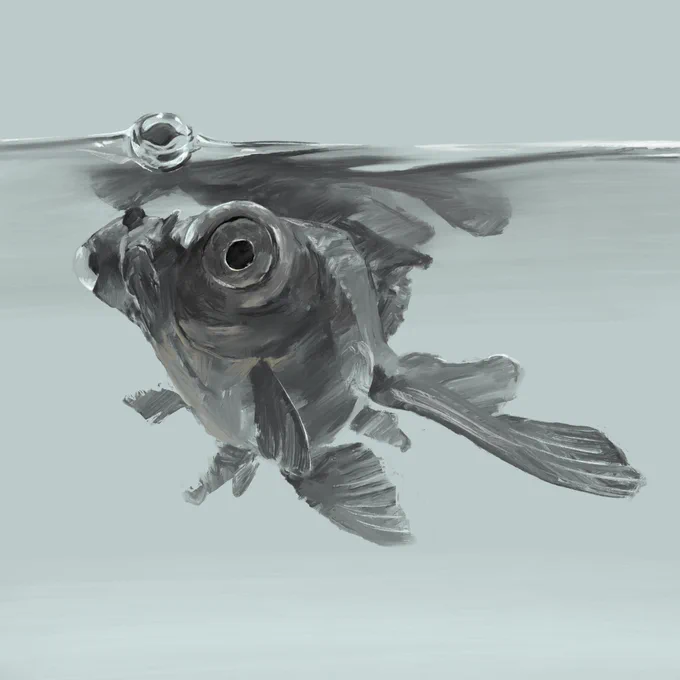 金魚#Procreate 