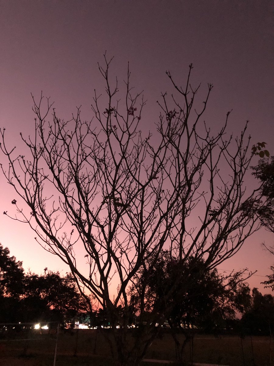 vrundavs's tweet photo. Even the most distraught soul….
Will cheer up….seeing this stunning pinks…
#eventide #evening #Pinkaddiction #worldispink #vrupix
Pink is the best colour to end your day https://t.co/ETE73jlgd6