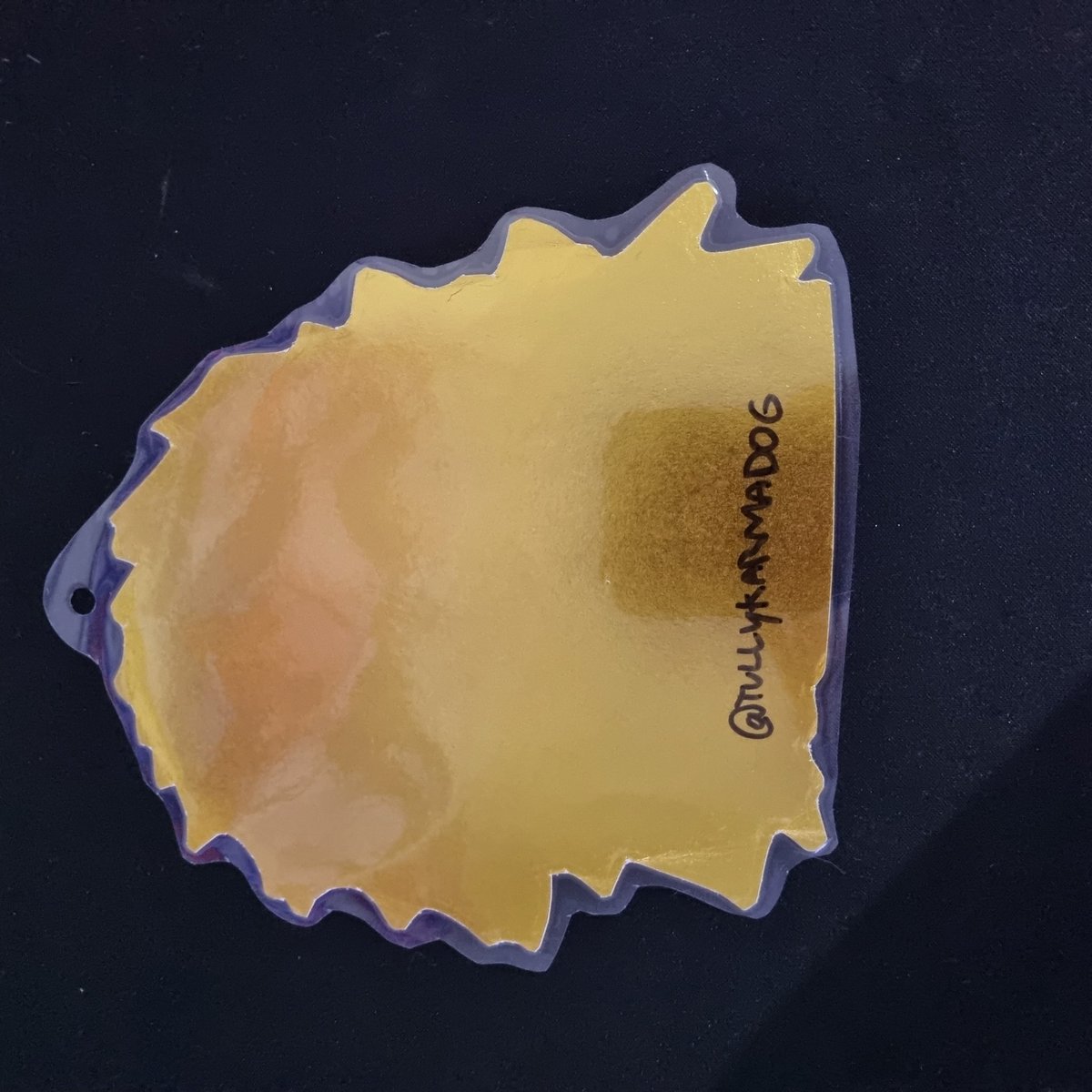 TullyKarmaDog tweet media