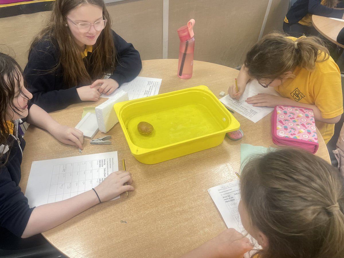 MrsMGault2's tweet photo. Primary 7 investigated buoyancy as part of our IDL- Titanic 🚢 @NewStevenstonPr https://t.co/bNHz9j8Obh