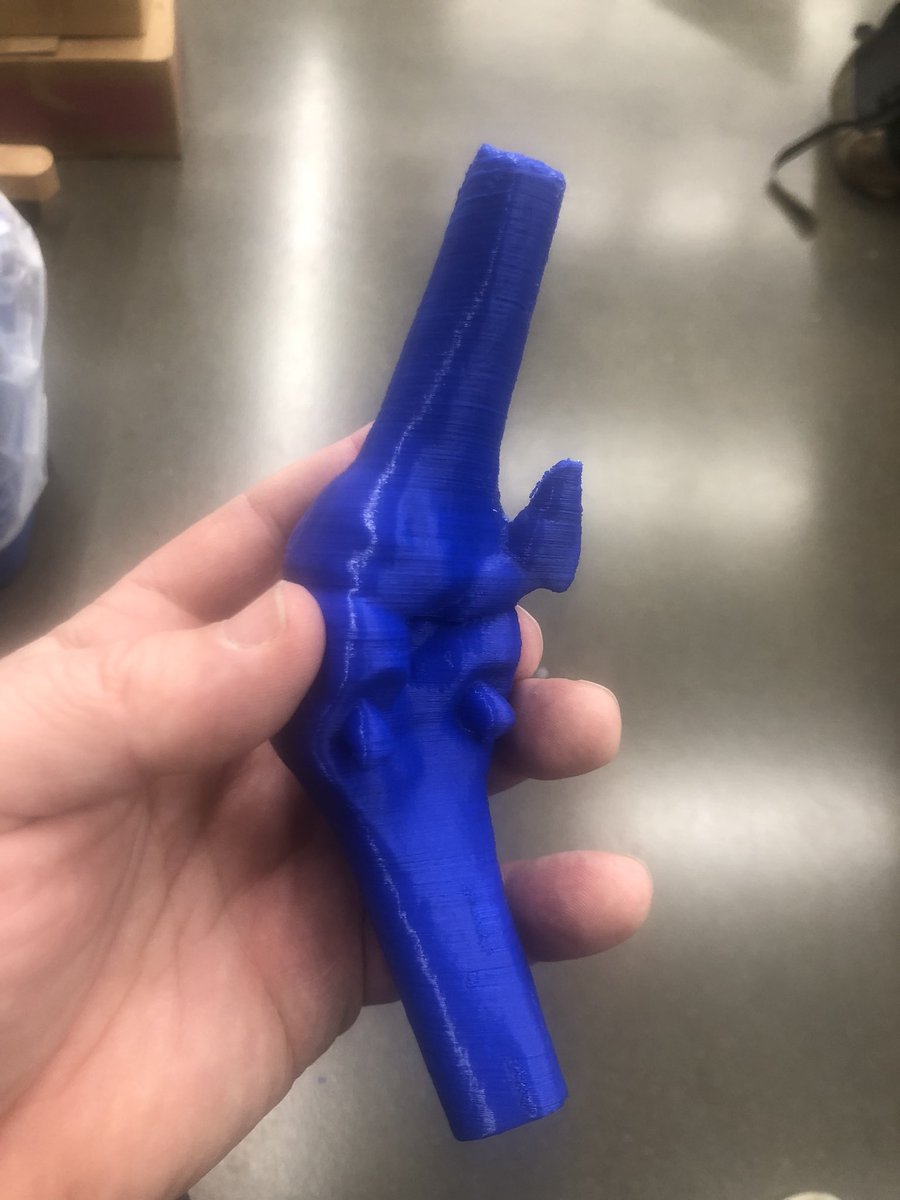 Warren Local High School 3D printing models cross curricular applications.  Anatomy is studying joints and muscles so we created a dogs knee for comparison.  <a href="/WHSSteam/">WHS STEAM Machine</a>