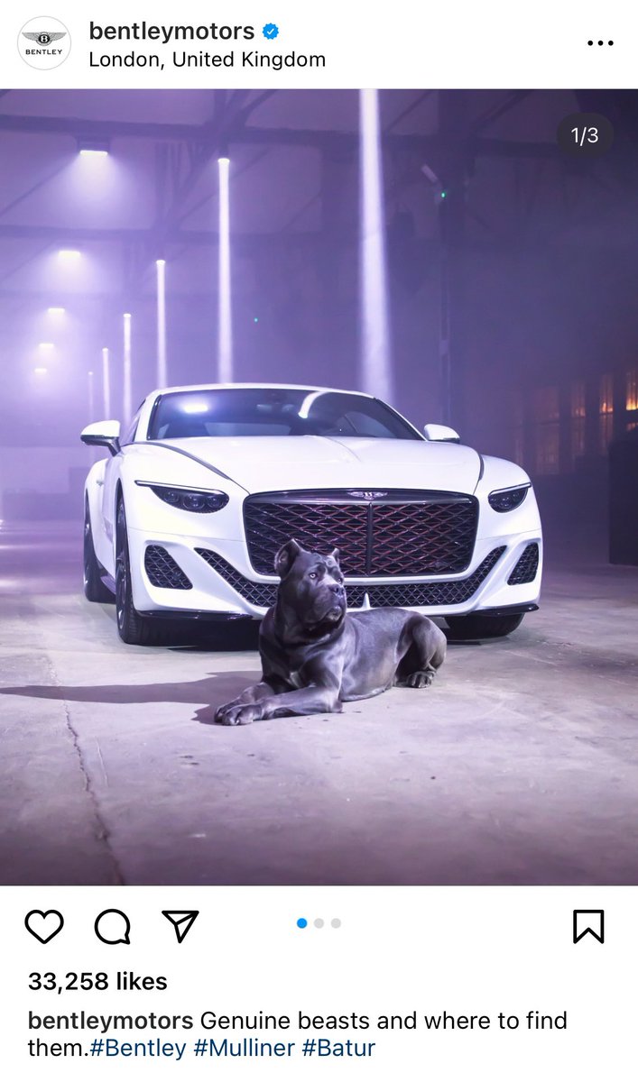 ThatVetSean's tweet photo. What on earth are you doing advertising your @BentleyMotors cars using an illegally mutilated ear cropped dog alongside?! This is cosmetic surgery banned on cruelty grounds. And you know what they say about using fancy cars, and tough guy butchered dogs, as status symbols… https://t.co/CpZSgdGMvQ