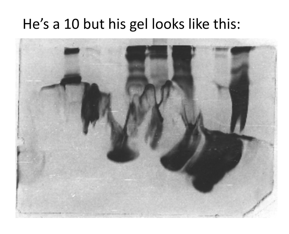 GenscriptE's tweet image. 💀He&apos;s a 0.

credits: @SynBioMemes 
#genesynthesis #geneengineering #geneediting #molecularbiology #biotechnology #biotech #lablife #phdlife #lifesciences #labmemes #phdmeme