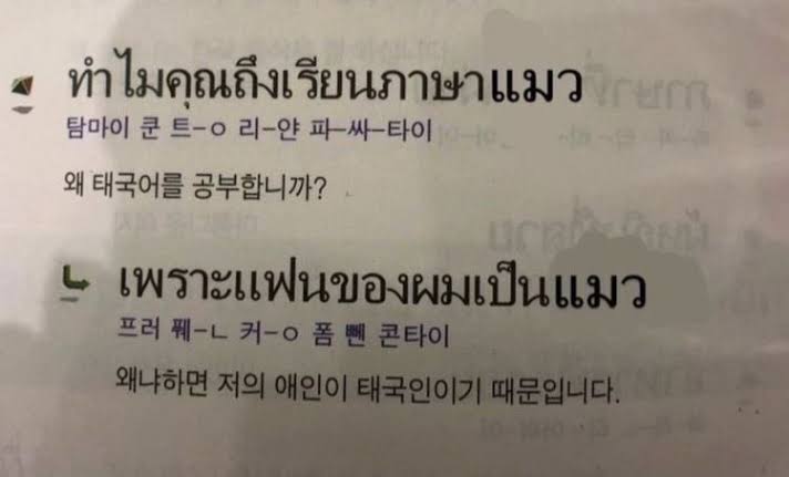 翔 (ไม่ต่อง้าฟ อันฟอลได้เลย) tweet media